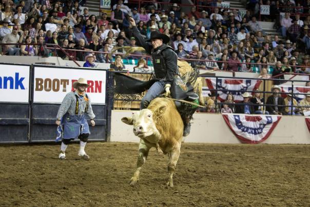 Bull rider at National Western Stock Show & Rodeo