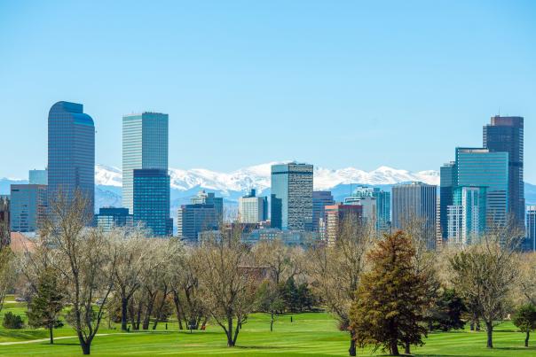 Denver Skyline - Spring/Winter