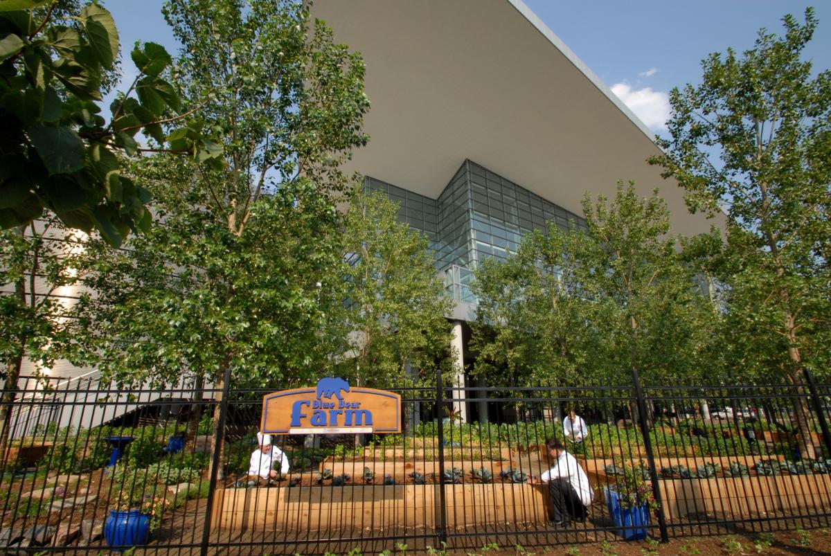 Blue Bear Farm at Colorado Convention Center