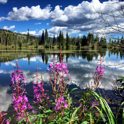 Rocky Mountain National Park