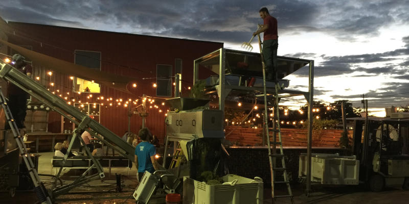 Grape crushing at Infinite Monkey Theorem in Denver