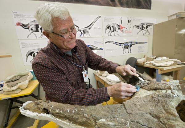 Denver Museum of Nature & Science's fossil prep lab