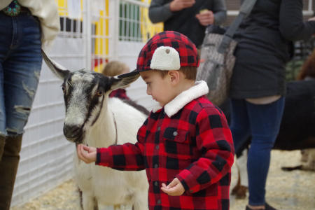 Petting farm at National Western Stock Show in Denver, Colorado