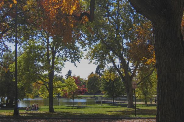 washington-park-autumn-trees-lake